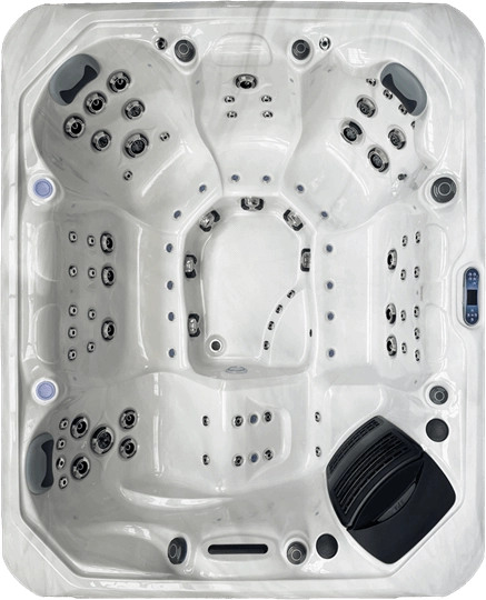 Platinum Spas : Maximus